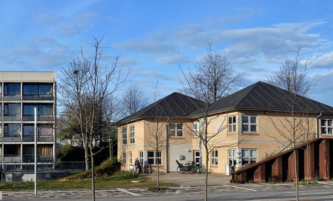 Barselsvikar til arbejde med unge og iværksætteri i Gellerup/Toveshøj